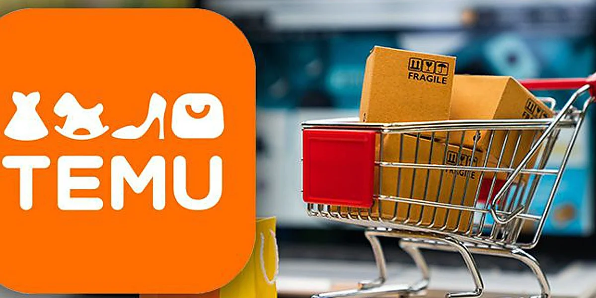Temu Online Shopping South Africa